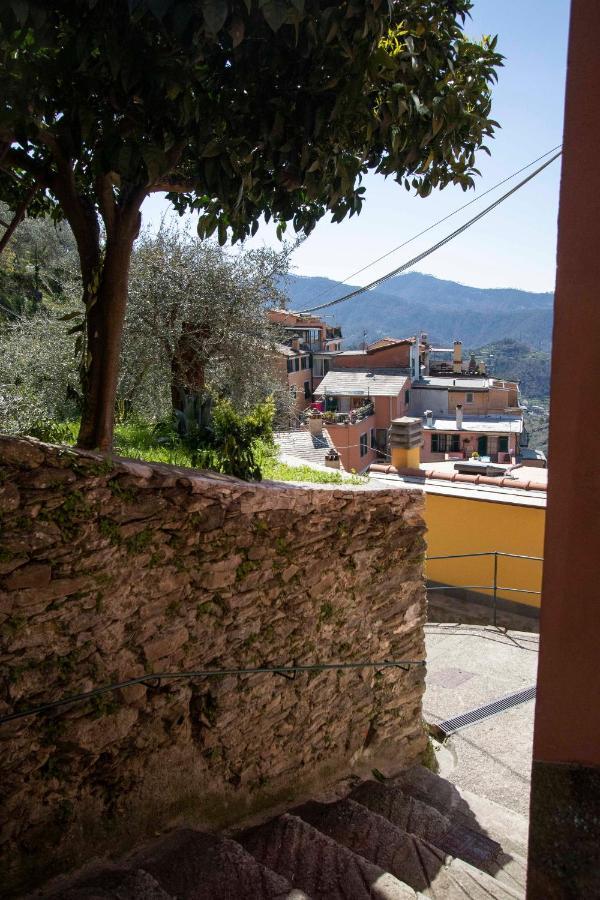 Le Case Di Petra Vignana Exterior foto